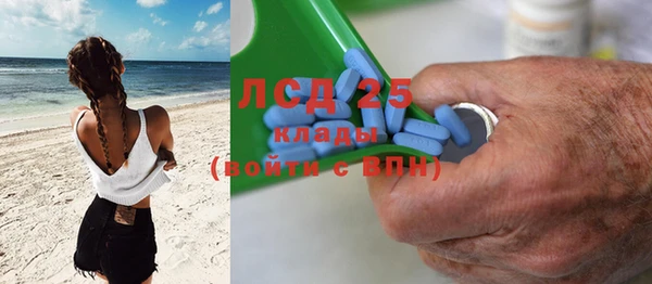 молекула духа Бородино