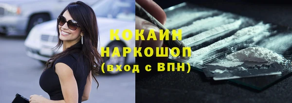 молекула духа Бородино