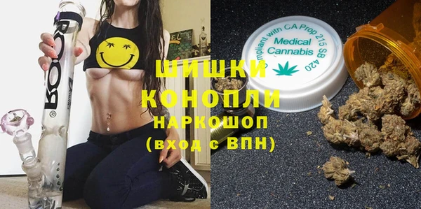 mdpv Богородск