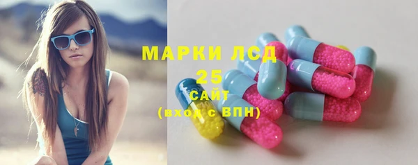 таблы Богородицк