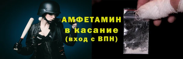 молекула духа Бородино