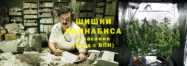 шишки Бронницы