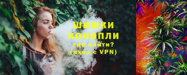 молекула духа Бородино