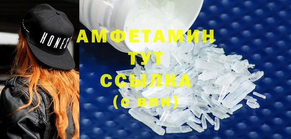 молекула духа Бородино