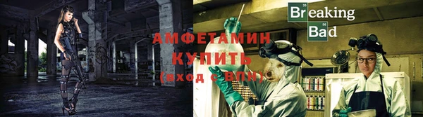 шишки Бронницы